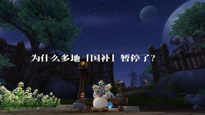 为什么多地「国补」暂停了？