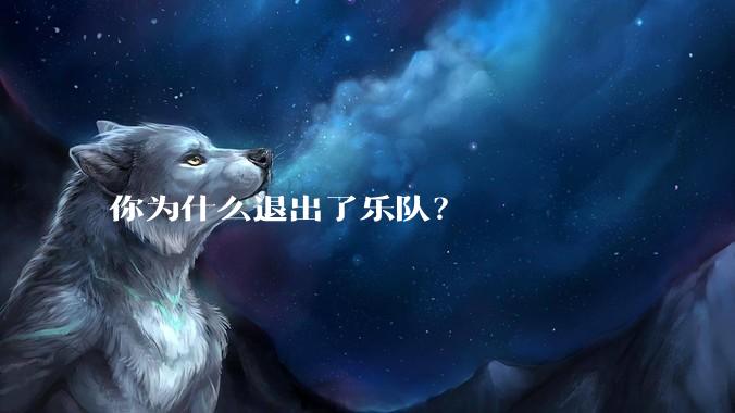 你为什么退出了乐队？