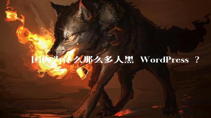 国内为什么那么多人黑 WordPress ？