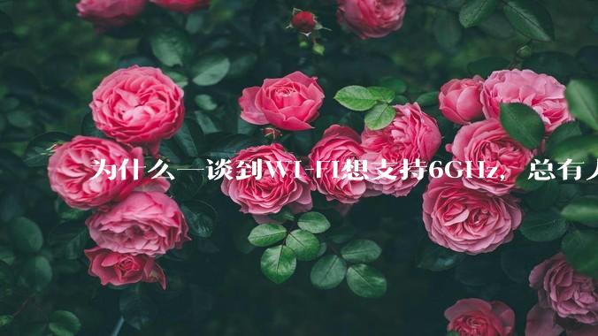 为什么一谈到Wi-Fi想支持6GHz，总有人说那你可以去国外？