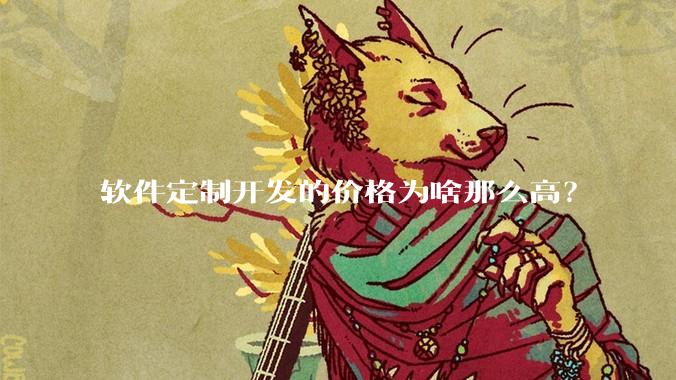 软件定制开发的价格为啥那么高？