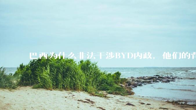 巴西为什么非法干涉BYD内政，他们的背后是谁，目的是什么？