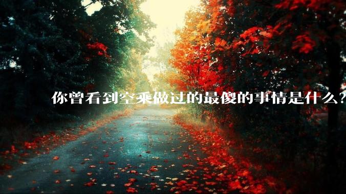 你曾看到空乘做过的最傻的事情是什么？