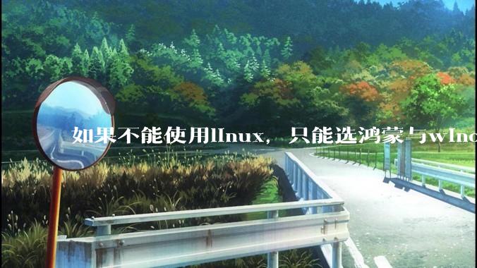 如果不能使用linux，只能选鸿蒙与windows，你会选哪个？