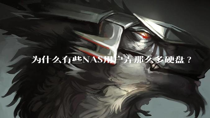 为什么有些NAS用户弄那么多硬盘?