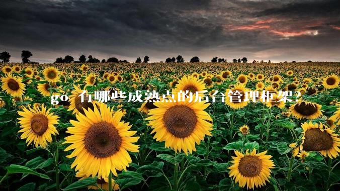go 有哪些成熟点的后台管理框架？