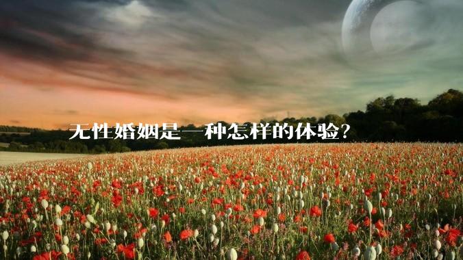无性婚姻是一种怎样的体验？