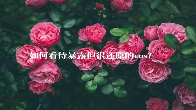 如何看待暴露但很还原的cos？