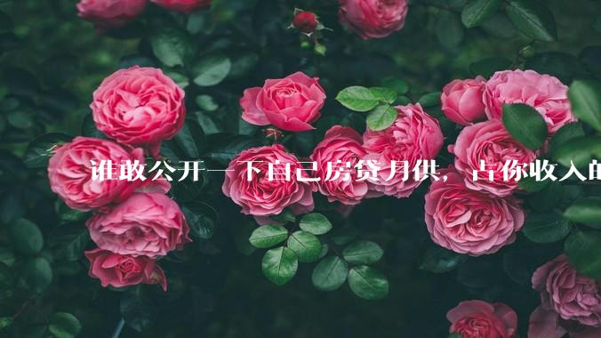 谁敢公开一下自己房贷月供，占你收入的多少？对你生活影响大吗？