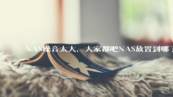 NAS噪音太大，大家都吧NAS放置到哪了？