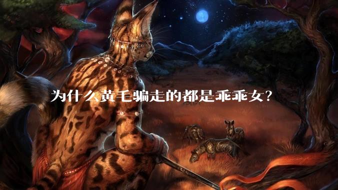 为什么黄毛骗走的都是乖乖女？