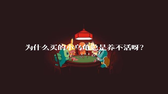 为什么买的小乌龟总是养不活呀？