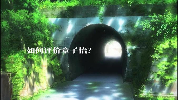 如何评价章子怡？
