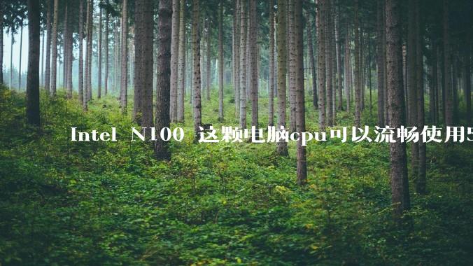 intel N100 这颗电脑cpu可以流畅使用5年吗？