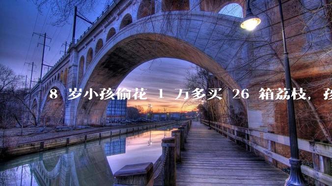 8 岁小孩偷花 1 万多买 26 箱荔枝，孩子父亲称在商品未发货时申请退款被拒，这合理吗？