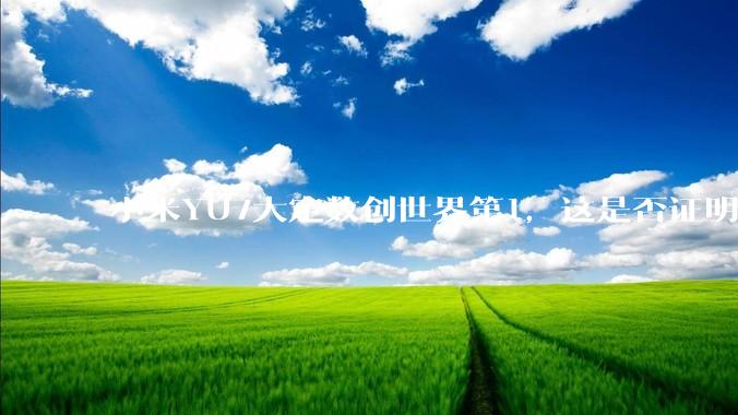 小米YU7大定数创世界第1，这是否证明了中国经济基本面强劲，居民收入高？
