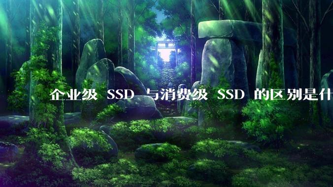 企业级 SSD 与消费级 SSD 的区别是什么？