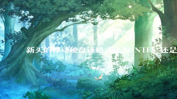 新买的移动硬盘该格式化为 NTFS 还是 exFAT？