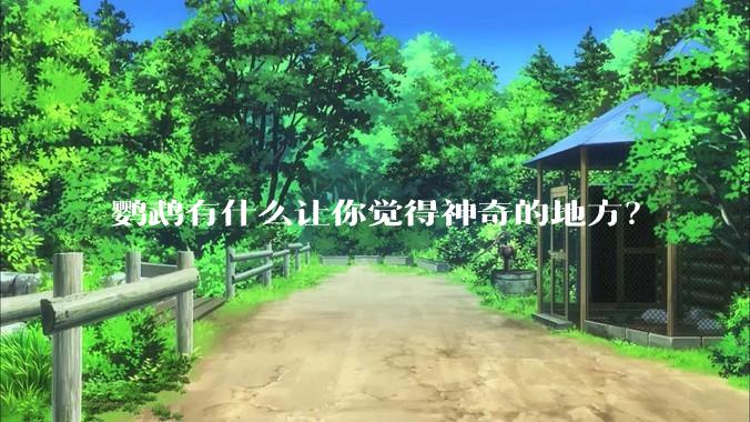 鹦鹉有什么让你觉得神奇的地方？
