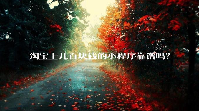 淘宝上几百块钱的小程序靠谱吗？