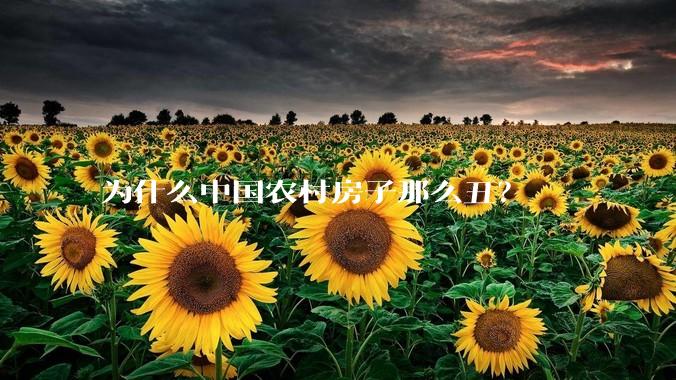 为什么中国农村房子那么丑？