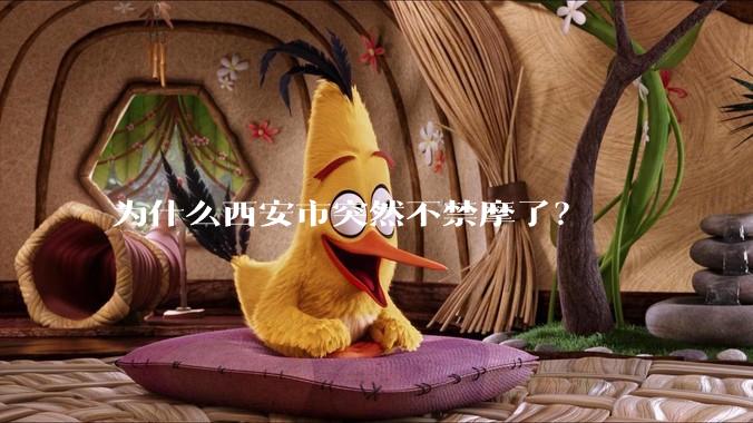 为什么西安市突然不禁摩了？