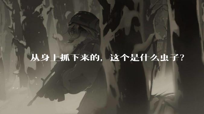从身上抓下来的，这个是什么虫子？