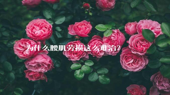 为什么腰肌劳损这么难治？