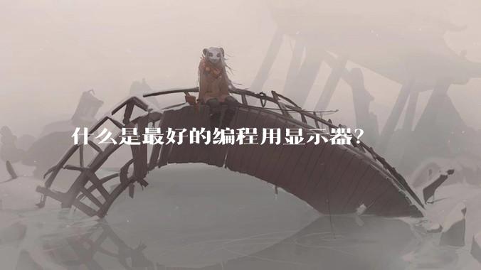 什么是最好的编程用显示器？
