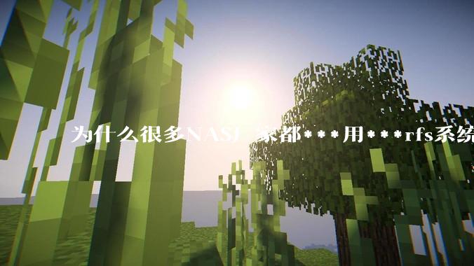 为什么很多NAS厂家都***用***rfs系统，而不是更稳定的zfs?