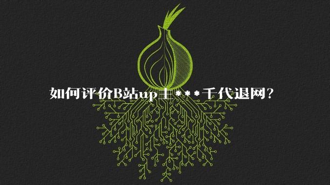 如何评价B站up主***千代退网？