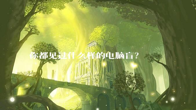 你都见过什么样的电脑盲？