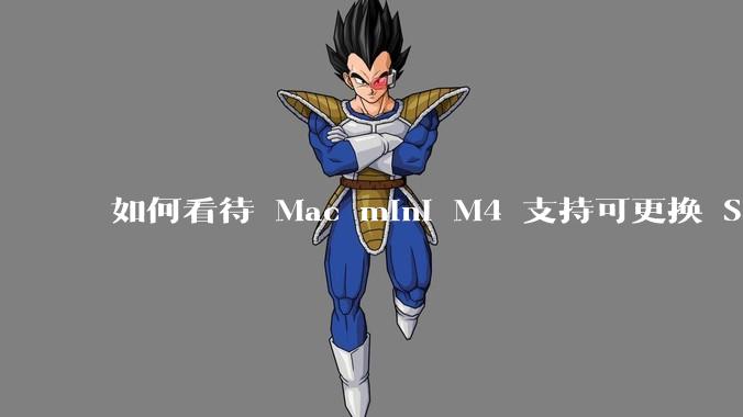 如何看待 Mac mini M4 支持可更换 SSD？