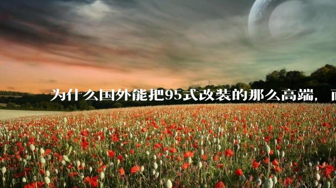 为什么国外能把95式改装的那么高端，而国内即使是特种部队用的95式几乎连战术配件都没有？