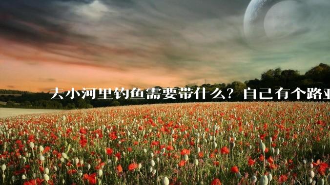 去小河里钓鱼需要带什么？自己有个路亚杆子?