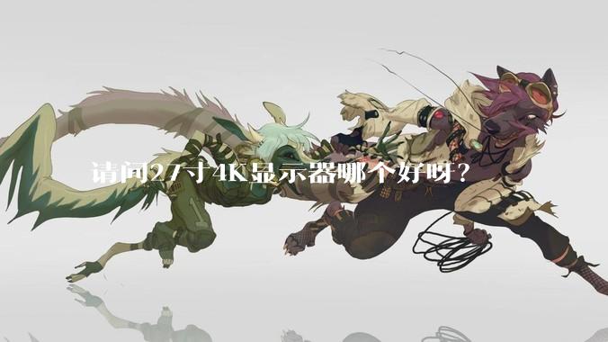请问27寸4K显示器哪个好呀？