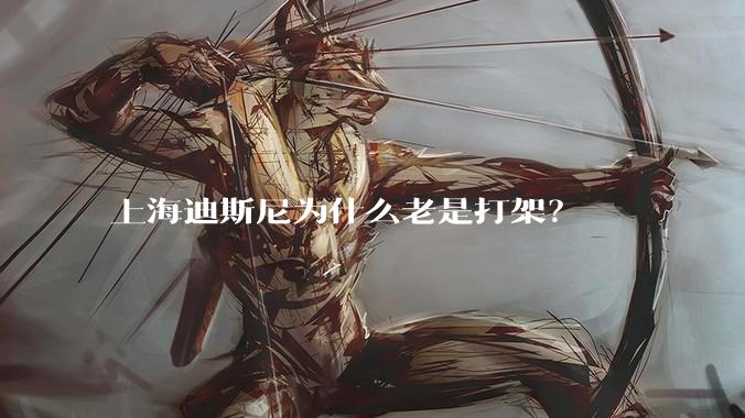 上海迪斯尼为什么老是打架？