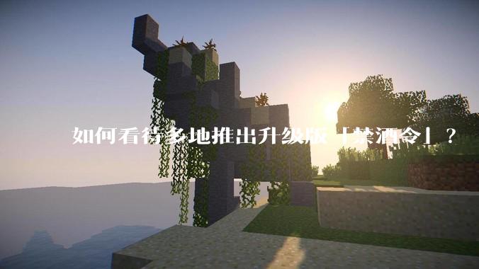 如何看待多地推出升级版「禁酒令」？