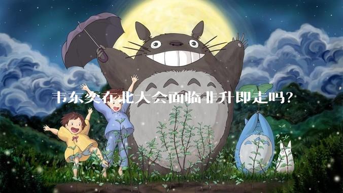 韦东奕在北大会面临非升即走吗？