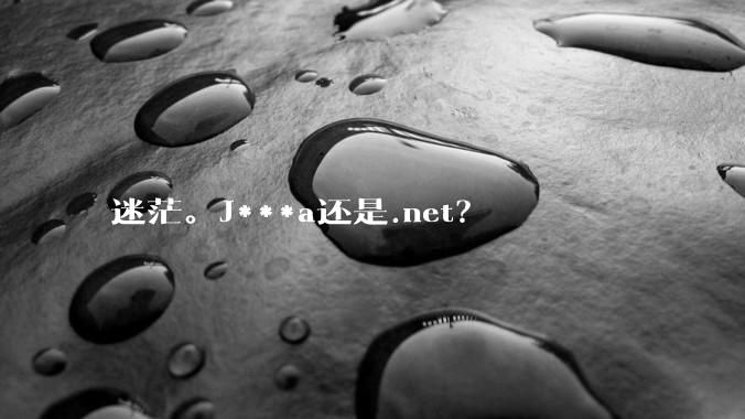 迷茫。J***a还是.net？