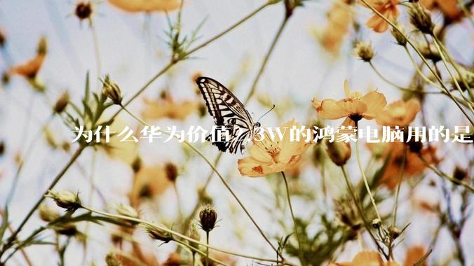 为什么华为价值2.3W的鸿蒙电脑用的是美国西数的中低固态硬盘？？