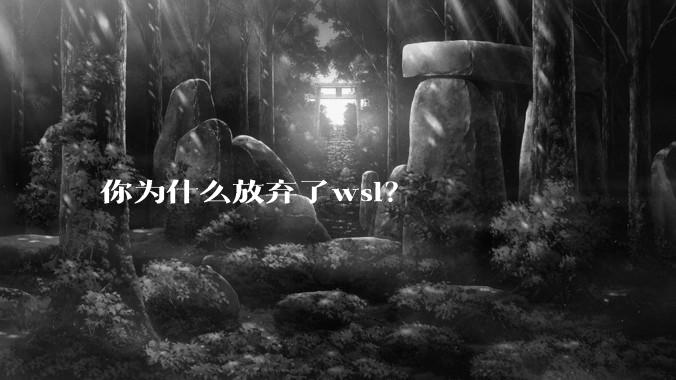 你为什么放弃了wsl？