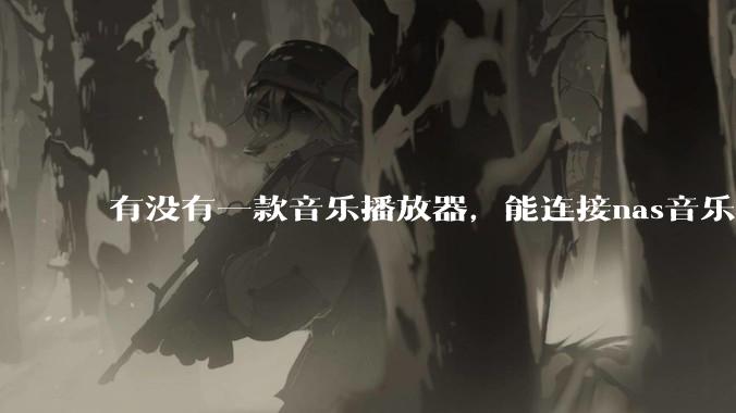 有没有一款音乐播放器，能连接nas音乐，创建音乐库，自动匹配歌词封面等等？类似infuse的概念呢？
