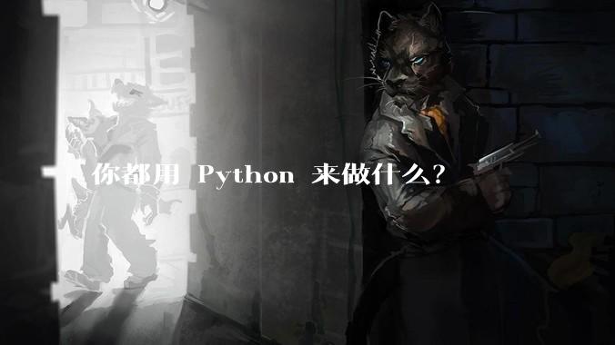 你都用 Python 来做什么？
