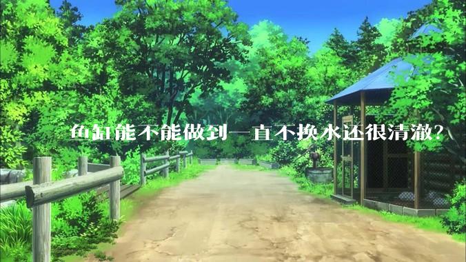 鱼缸能不能做到一直不换水还很清澈？