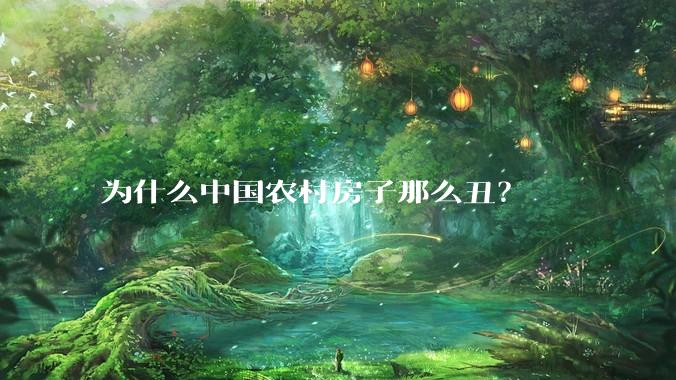 为什么中国农村房子那么丑？