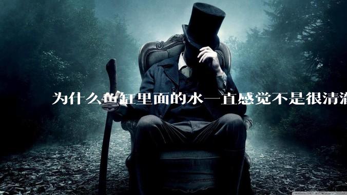 为什么鱼缸里面的水一直感觉不是很清澈呢？