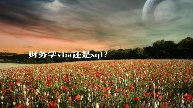 财务学vba还是sql？
