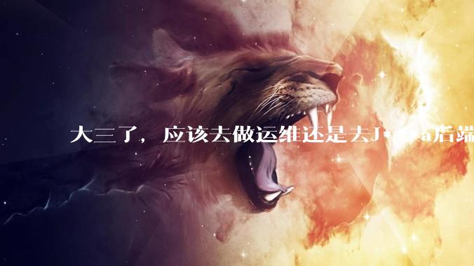 大三了，应该去做运维还是去J***a后端呢？