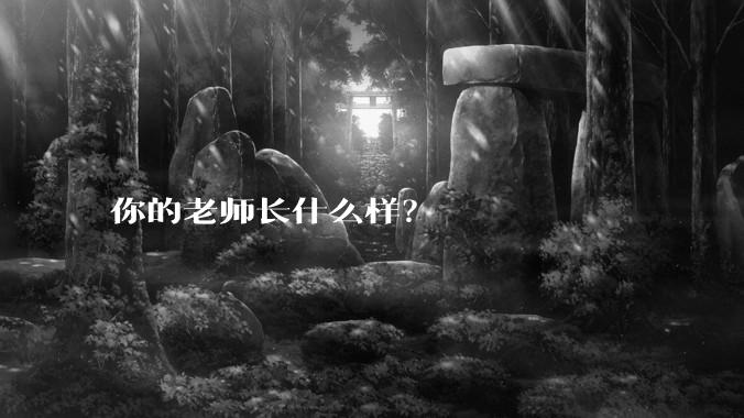 你的老师长什么样？